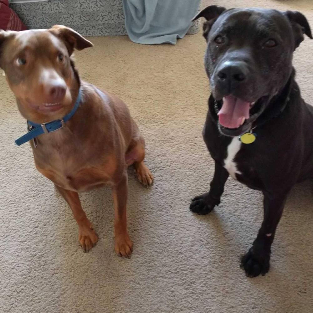 Meet your Posher, Jacqueline